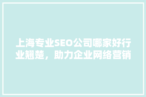 上海专业SEO公司哪家好行业翘楚，助力企业网络营销腾飞