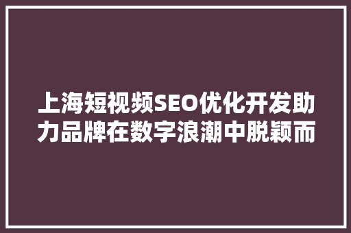 上海短视频SEO优化开发助力品牌在数字浪潮中脱颖而出
