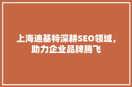 上海迪基特深耕SEO领域，助力企业品牌腾飞