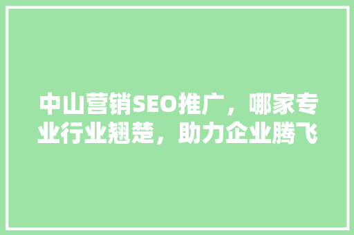 中山营销SEO推广，哪家专业行业翘楚，助力企业腾飞