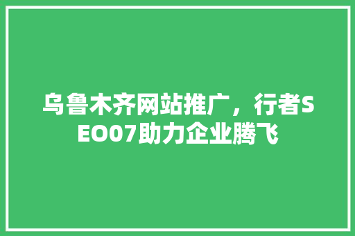 乌鲁木齐网站推广，行者SEO07助力企业腾飞