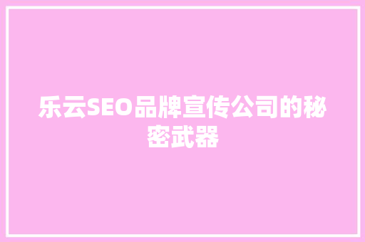 乐云SEO品牌宣传公司的秘密武器