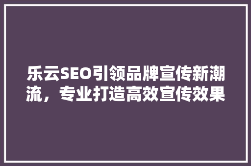 乐云SEO引领品牌宣传新潮流，专业打造高效宣传效果