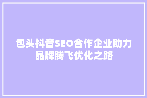 包头抖音SEO合作企业助力品牌腾飞优化之路