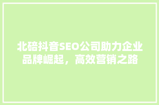 北碚抖音SEO公司助力企业品牌崛起，高效营销之路