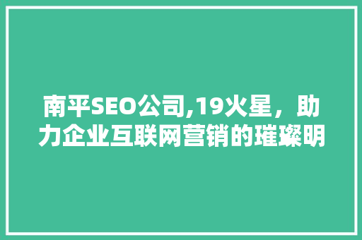 南平SEO公司,19火星，助力企业互联网营销的璀璨明星