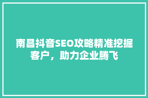 南昌抖音SEO攻略精准挖掘客户，助力企业腾飞