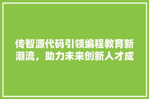 传智源代码引领编程教育新潮流，助力未来创新人才成长