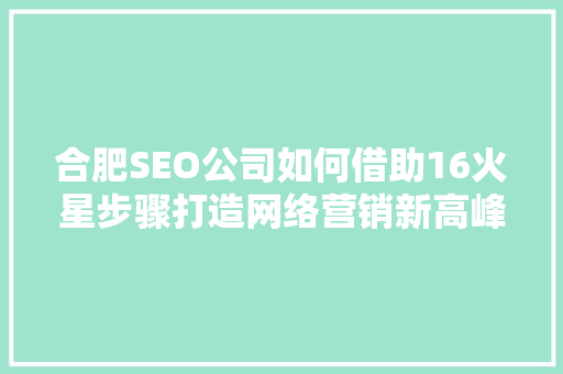 合肥SEO公司如何借助16火星步骤打造网络营销新高峰