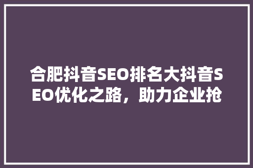 合肥抖音SEO排名大抖音SEO优化之路，助力企业抢占流量高地