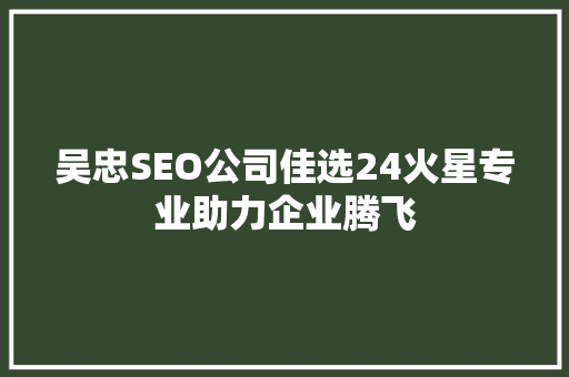 吴忠SEO公司佳选24火星专业助力企业腾飞