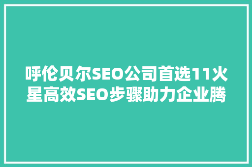 呼伦贝尔SEO公司首选11火星高效SEO步骤助力企业腾飞