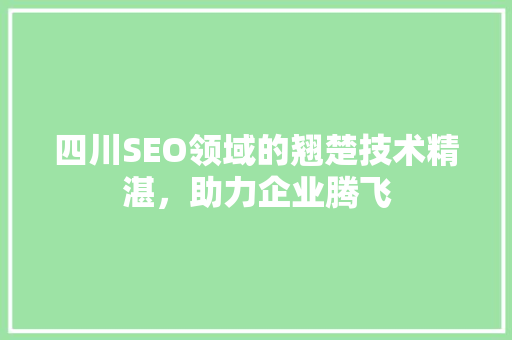 四川SEO领域的翘楚技术精湛，助力企业腾飞