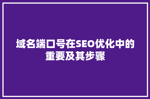 域名端口号在SEO优化中的重要及其步骤