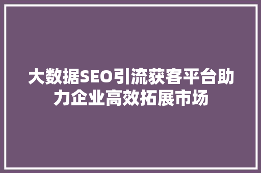 大数据SEO引流获客平台助力企业高效拓展市场