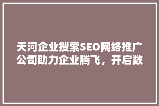 天河企业搜索SEO网络推广公司助力企业腾飞，开启数字营销新时代  第1张