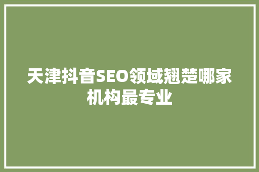 天津抖音SEO领域翘楚哪家机构最专业