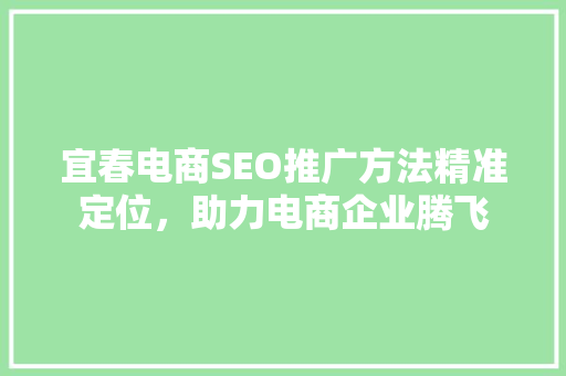 宜春电商SEO推广方法精准定位，助力电商企业腾飞