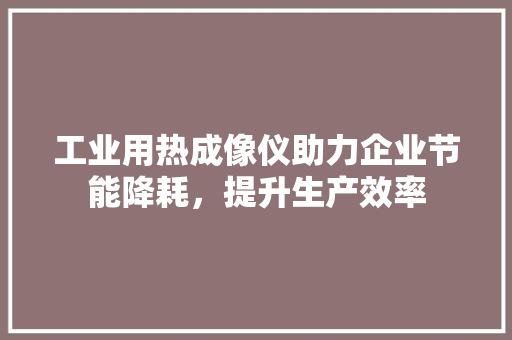 工业用热成像仪助力企业节能降耗，提升生产效率