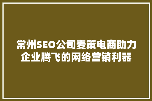 常州SEO公司麦策电商助力企业腾飞的网络营销利器