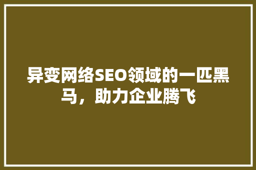 异变网络SEO领域的一匹黑马，助力企业腾飞
