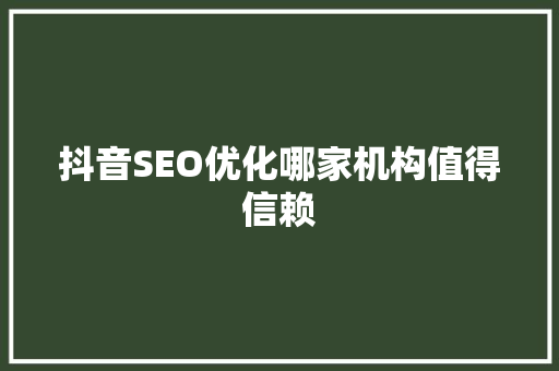 抖音SEO优化哪家机构值得信赖