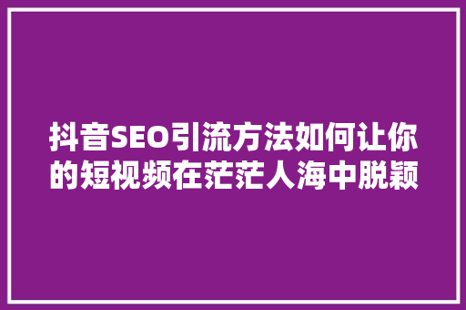 抖音SEO引流方法如何让你的短视频在茫茫人海中脱颖而出