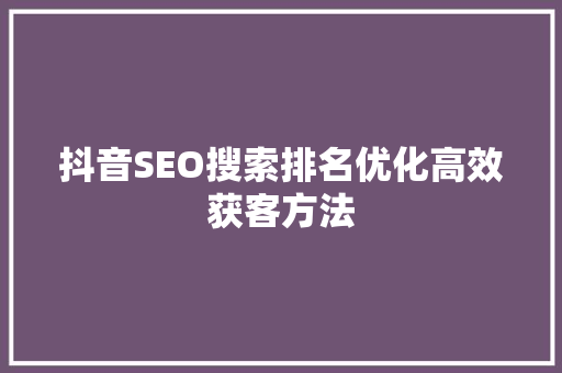 抖音SEO搜索排名优化高效获客方法