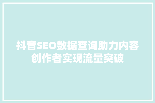 抖音SEO数据查询助力内容创作者实现流量突破