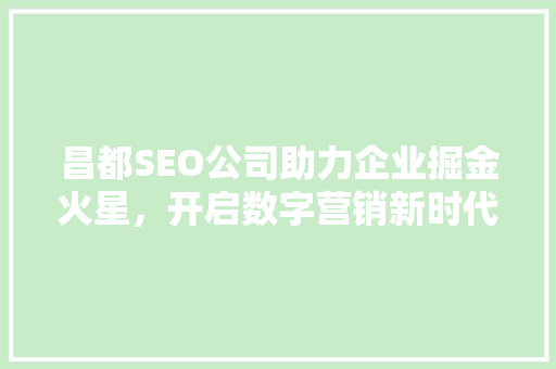 昌都SEO公司助力企业掘金火星，开启数字营销新时代