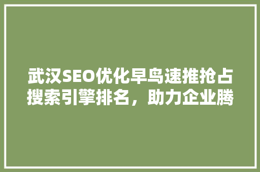武汉SEO优化早鸟速推抢占搜索引擎排名，助力企业腾飞