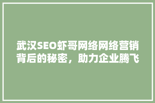 武汉SEO虾哥网络网络营销背后的秘密，助力企业腾飞