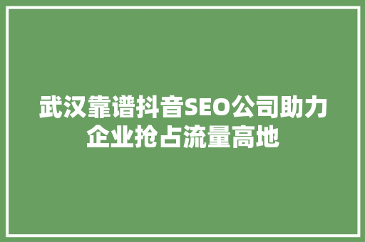 武汉靠谱抖音SEO公司助力企业抢占流量高地