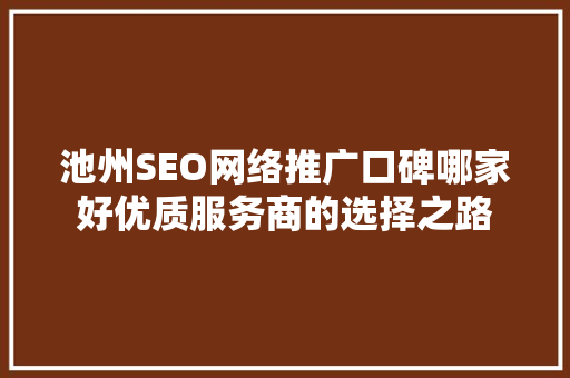 池州SEO网络推广口碑哪家好优质服务商的选择之路