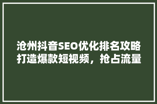 沧州抖音SEO优化排名攻略打造爆款短视频，抢占流量高地