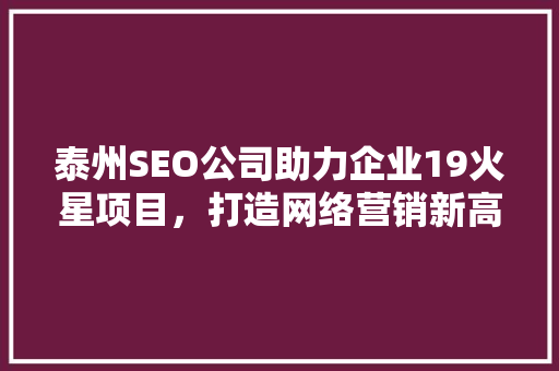 泰州SEO公司助力企业19火星项目，打造网络营销新高峰