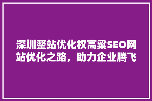 深圳整站优化权高粱SEO网站优化之路，助力企业腾飞