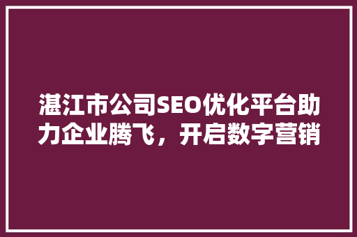 湛江市公司SEO优化平台助力企业腾飞，开启数字营销新篇章