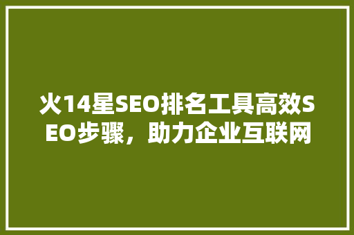 火14星SEO排名工具高效SEO步骤，助力企业互联网崛起