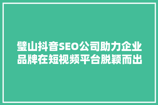 璧山抖音SEO公司助力企业品牌在短视频平台脱颖而出