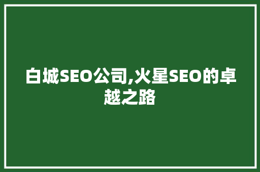 白城SEO公司,火星SEO的卓越之路