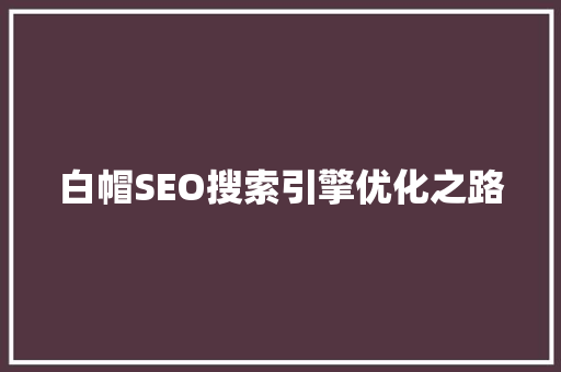 白帽SEO搜索引擎优化之路