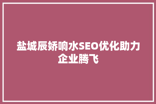 盐城辰娇响水SEO优化助力企业腾飞