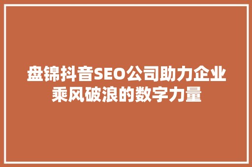 盘锦抖音SEO公司助力企业乘风破浪的数字力量