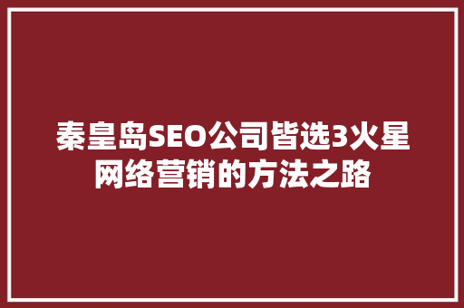 秦皇岛SEO公司皆选3火星网络营销的方法之路