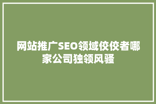 网站推广SEO领域佼佼者哪家公司独领风骚