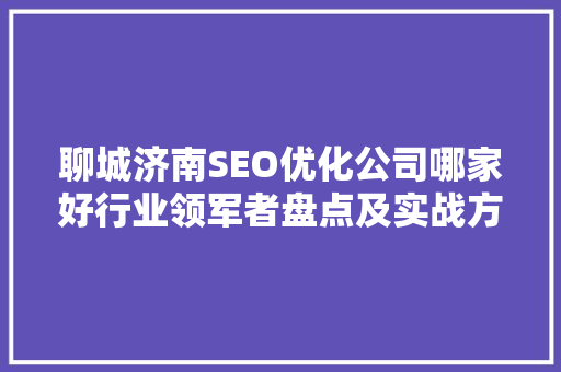 聊城济南SEO优化公司哪家好行业领军者盘点及实战方法分享