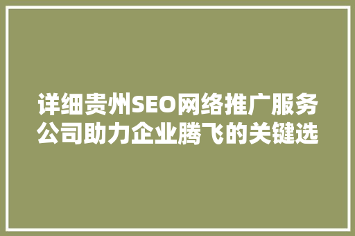 详细贵州SEO网络推广服务公司助力企业腾飞的关键选择