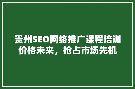 贵州SEO网络推广课程培训价格未来，抢占市场先机