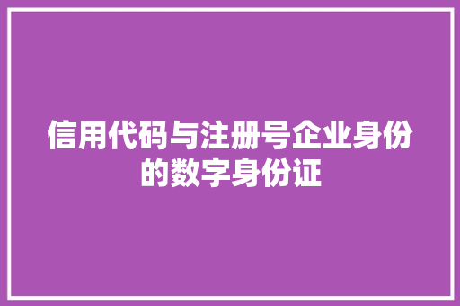 信用代码与注册号企业身份的数字身份证